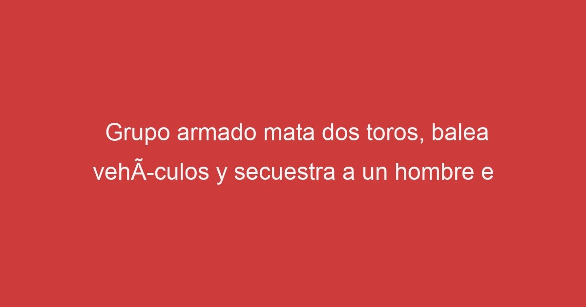 Grupo Armado Mata Dos Toros Balea Veh Culos Y Secuestra A Un Hombre E Lo Real De Guerrero